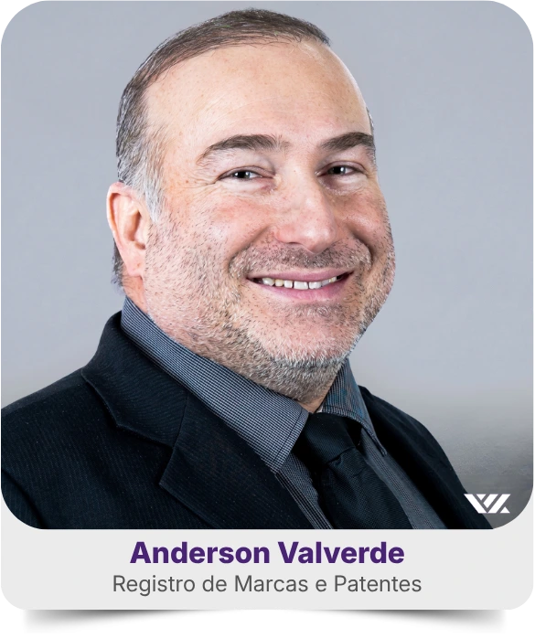 Anderson Valverde, Registro de Marcas e Patentes da WYN GROUP